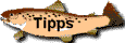 Tipps